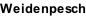 Weidenpesch